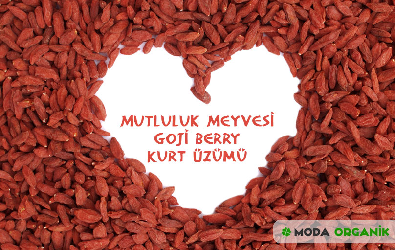 Mutluluk Meyvesi Goji Berry (Kurt Üzümü)