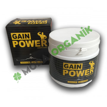 Gain Power Besin Desteği 230 gr